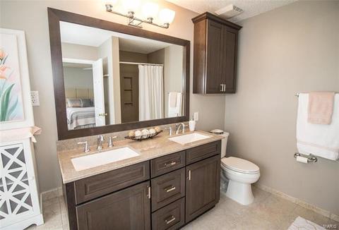 43 Dunmore Cir, O'fallon, MO 63368 photo 21