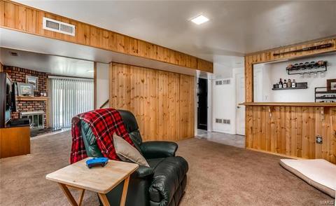 710 Valley View Dr, Manchester, MO 63011 photo 18