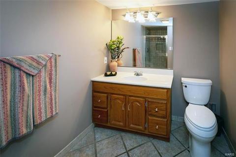 246 Dickens Farm Ln, Ballwin, MO 63021 photo 31