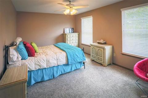 246 Dickens Farm Ln, Ballwin, MO 63021 photo 24