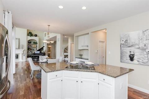 1243 Polo Lake Dr, Ellisville, MO 63021 photo 15