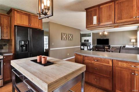 739 Memoir Ln, Manchester, MO 63021 photo 12