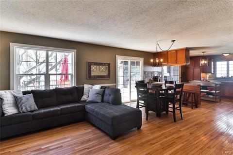 739 Memoir Ln, Manchester, MO 63021 photo 6