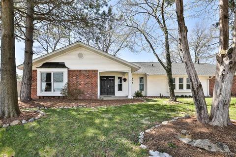 693 Henry Ave, Manchester, MO 63011 photo 3