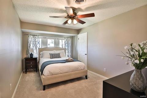 693 Henry Ave, Manchester, MO 63011 photo 18