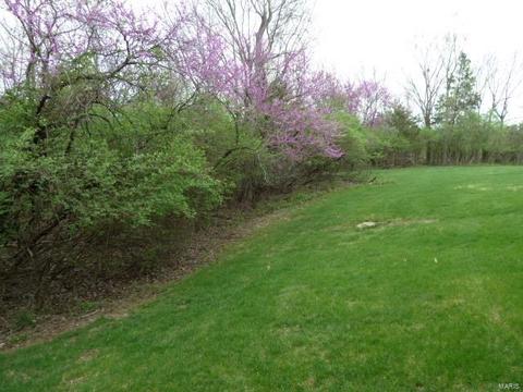 611 Highview Circle Dr, Ballwin, MO 63021 photo 29