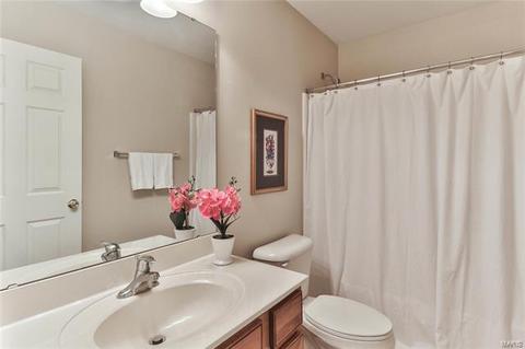 27 Orchard Trace Ln, Grover, MO 63040 photo 23