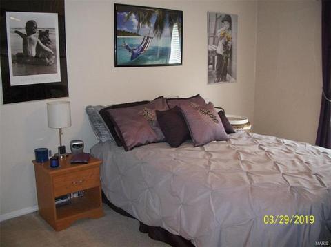 1103 Pocono Trl #C, Ballwin, MO 63021 photo 33