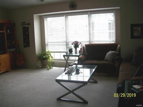 1103 Pocono Trl #C, Ballwin, MO 63021 photo 15