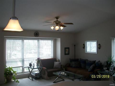 1103 Pocono Trl #C, Ballwin, MO 63021 photo 23