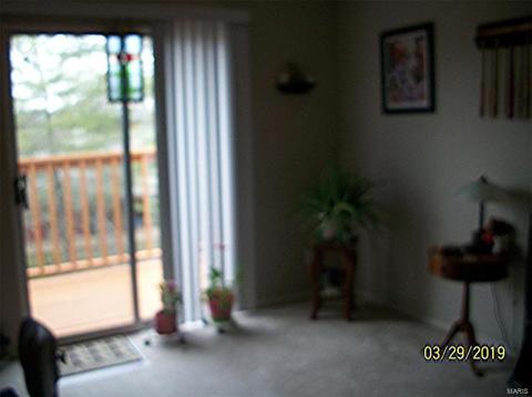 1103 Pocono Trl #C, Ballwin, MO 63021 photo 39