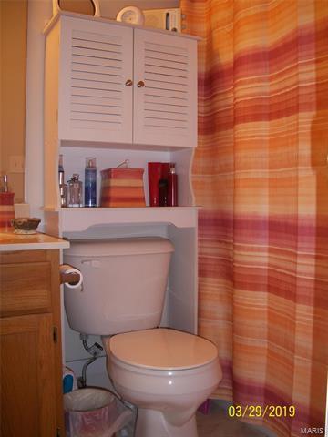 1103 Pocono Trl #C, Ballwin, MO 63021 photo 37