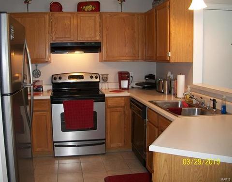 1103 Pocono Trl #C, Ballwin, MO 63021 photo 8
