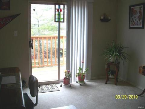1103 Pocono Trl #C, Ballwin, MO 63021 photo 40