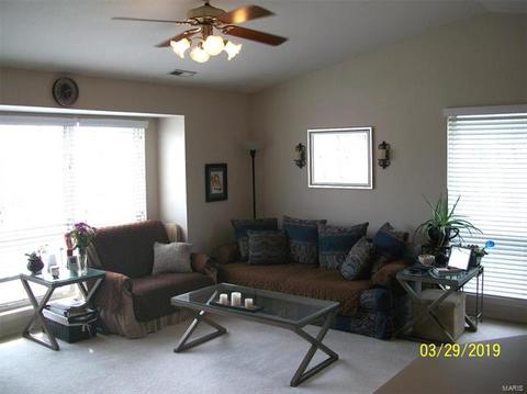 1103 Pocono Trl #C, Ballwin, MO 63021 photo 17