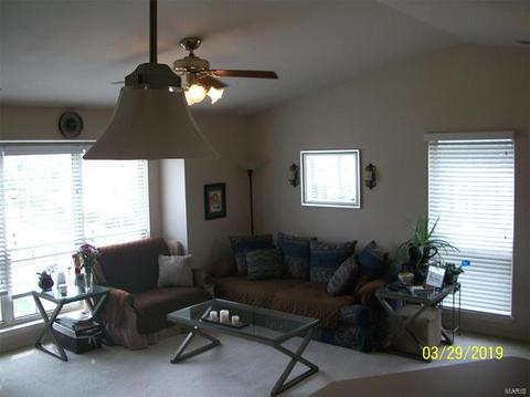 1103 Pocono Trl #C, Ballwin, MO 63021 photo 20