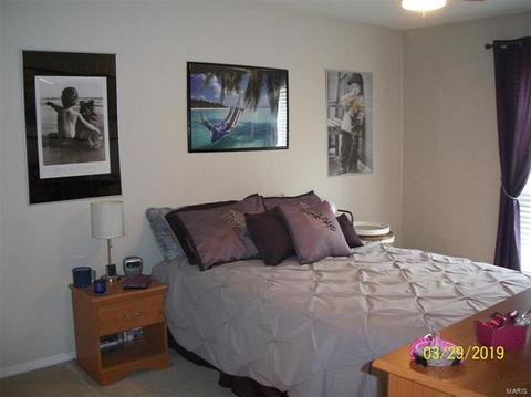 1103 Pocono Trl #C, Ballwin, MO 63021 photo 30