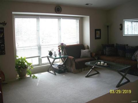 1103 Pocono Trl #C, Ballwin, MO 63021 photo 16