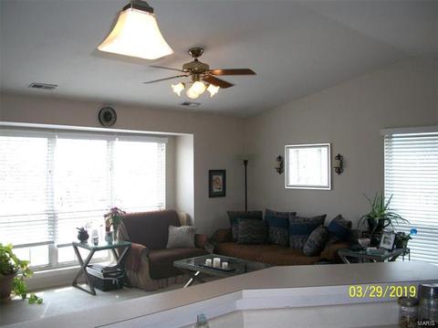 1103 Pocono Trl #C, Ballwin, MO 63021 photo 18