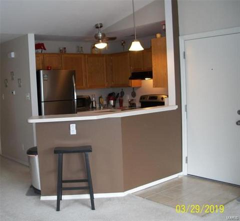 1103 Pocono Trl #C, Ballwin, MO 63021 photo 10