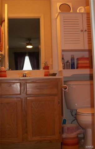 1103 Pocono Trl #C, Ballwin, MO 63021 photo 36