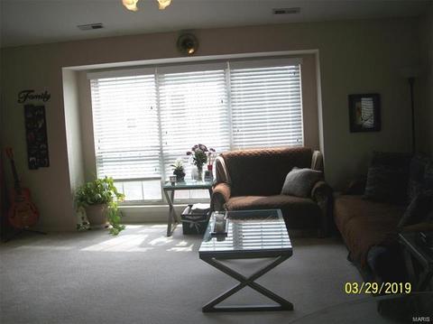 1103 Pocono Trl #C, Ballwin, MO 63021 photo 13