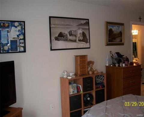 1103 Pocono Trl #C, Ballwin, MO 63021 photo 31