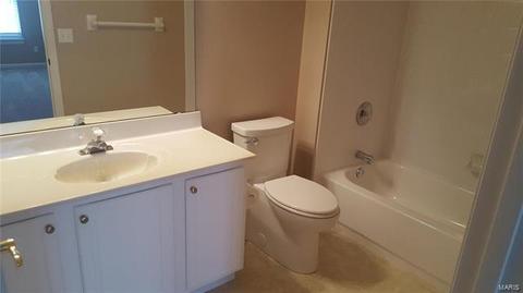 667 Hawk Run Dr, O'fallon, MO 63368 photo 15