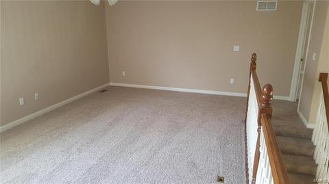 667 Hawk Run Dr, O'fallon, MO 63368 photo 14