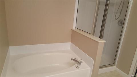 667 Hawk Run Dr, O'fallon, MO 63368 photo 9