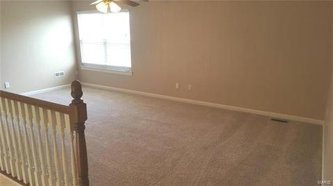 667 Hawk Run Dr, O'fallon, MO 63368 photo 13
