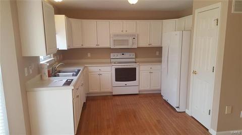 667 Hawk Run Dr, O'fallon, MO 63368 photo 5