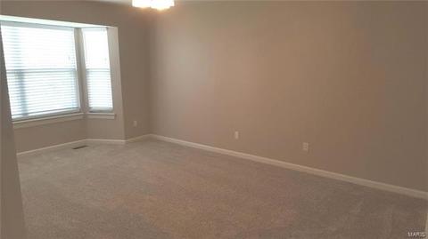 667 Hawk Run Dr, O'fallon, MO 63368 photo 7