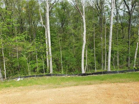 147 Brookview Way Dr, O'fallon, MO 63366 photo 19