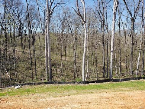 147 Brookview Way Dr, O'fallon, MO 63366 photo 3