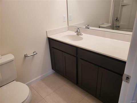147 Brookview Way Dr, O'fallon, MO 63366 photo 24