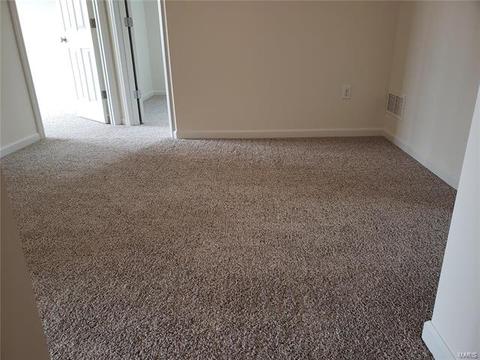 147 Brookview Way Dr, O'fallon, MO 63366 photo 20