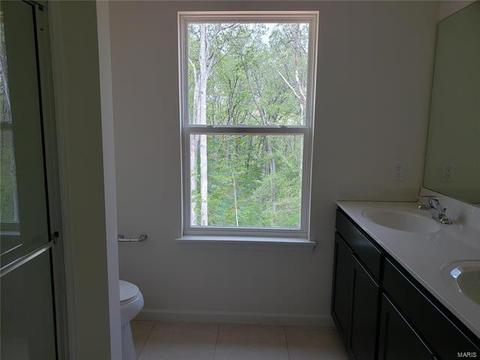 147 Brookview Way Dr, O'fallon, MO 63366 photo 36