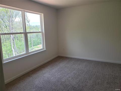 147 Brookview Way Dr, O'fallon, MO 63366 photo 39