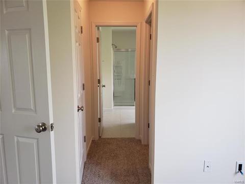 147 Brookview Way Dr, O'fallon, MO 63366 photo 32