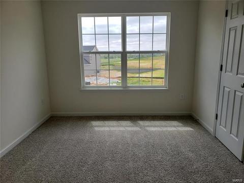147 Brookview Way Dr, O'fallon, MO 63366 photo 22