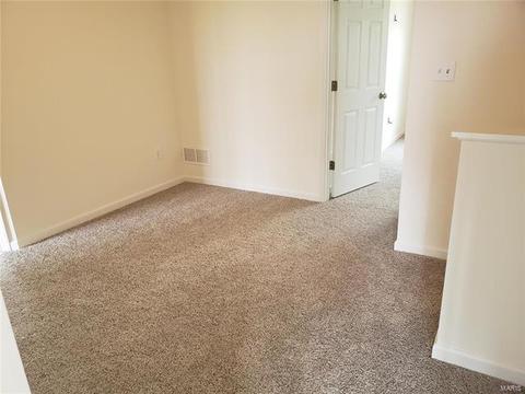 147 Brookview Way Dr, O'fallon, MO 63366 photo 21