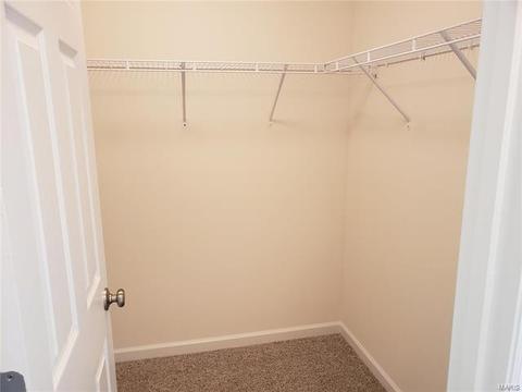 147 Brookview Way Dr, O'fallon, MO 63366 photo 33