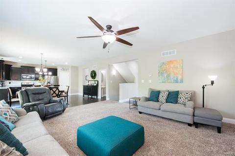 232 Flint Brook Dr, O'fallon, MO 63366 photo 6
