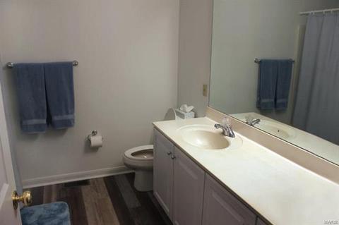 1 Charing Cross Ct, Weldon Spring, MO 63304 photo 15