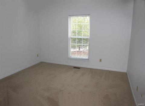 1 Charing Cross Ct, Weldon Spring, MO 63304 photo 12