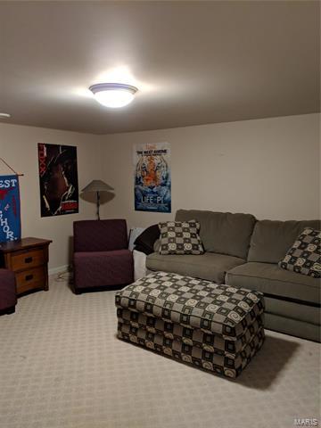 711 Barham Down Dr, Ballwin, MO 63011 photo 28