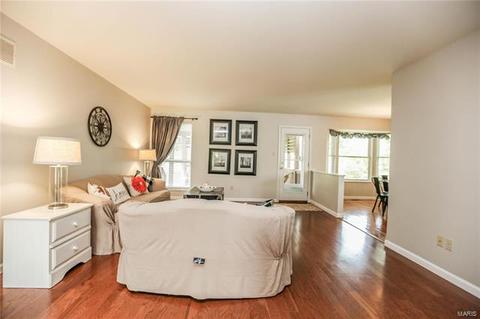 17130 Elm Trail Dr, Eureka, MO 63025 photo 6