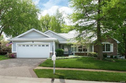 205 Timber Tree Ct, Wildwood, MO 63011 photo 1