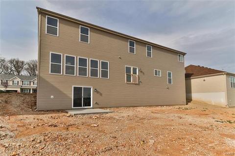 838 Bluff Brook Dr, O'fallon, MO 63366 photo 57